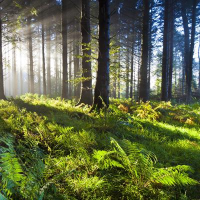 金博宝官网手机app下载