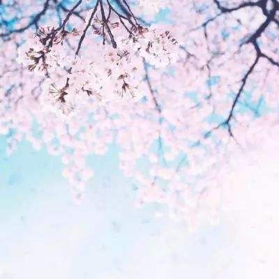 南宫体育app下载安装手机app下载截图