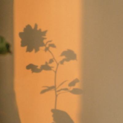 LOL外围官网下载手机版