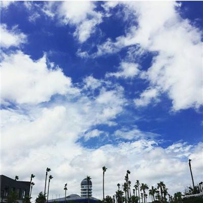 皇冠APP官方版下载安装