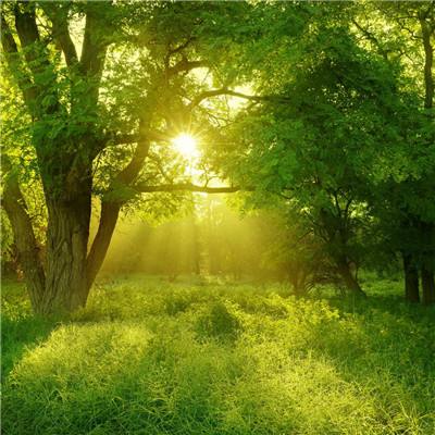 乐发彩票APP下载