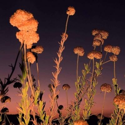 皇冠体育手机版