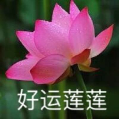 三张牌下载金花免费