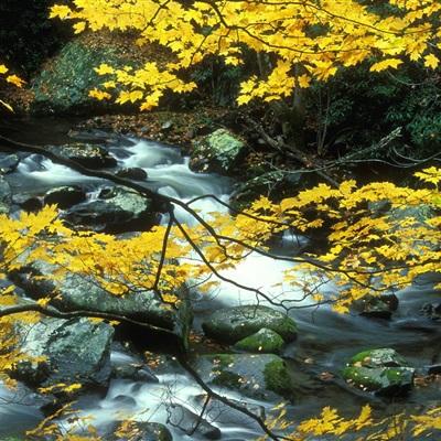 大发棋牌方网址入口